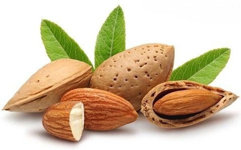 بادام سنگی با قیمت مناسب